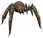 Rainha Aranha Negra